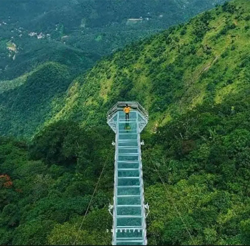 Puppy's Glass Bridge